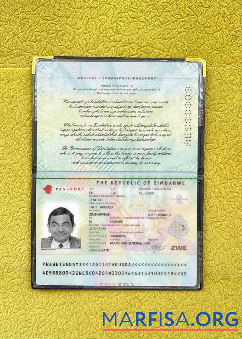 Printable Zimbabwe passport 2023 present photolook sample